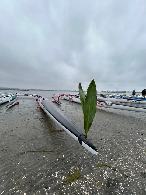Lokahi paddling photo